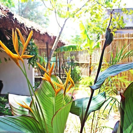 An Bang Purple Homestay Hội An Buitenkant foto