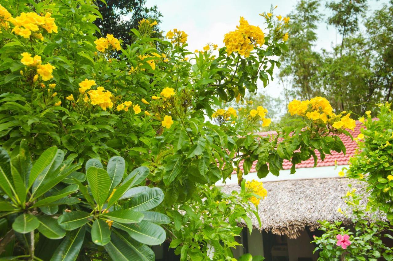 An Bang Purple Homestay Hội An Buitenkant foto